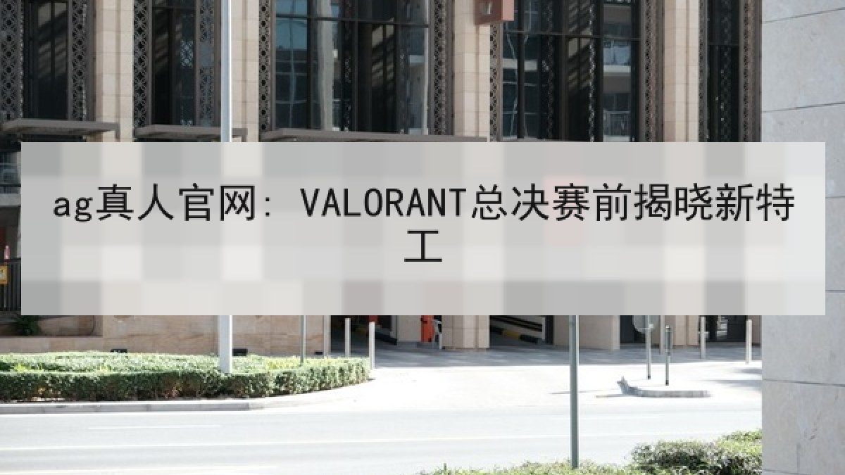 ag真人官网: VALORANT总决赛前揭晓新特工