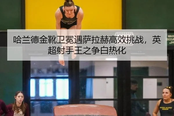 ha-lan-de-jin-xue-wei-mian-yu-sa-la-he-gao-xiao-tiao-zhan-ying-chao-she-shou-wang-zhi-zheng-bai-re-hua-2-229.jpg