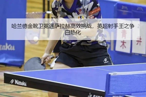 ha-lan-de-jin-xue-wei-mian-yu-sa-la-he-gao-xiao-tiao-zhan-ying-chao-she-shou-wang-zhi-zheng-bai-re-hua-3-786.jpg