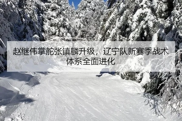 zhao-ji-wei-zhang-duo-zhang-zhen-lin-sheng-ji-liao-ning-dui-xin-sai-ji-zhan-shu-ti-xi-quan-mian-jin-hua-3-229.jpg