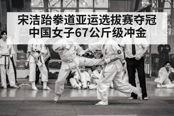 宋洁跆拳道亚运选拔赛夺冠中国女子67公斤级冲金