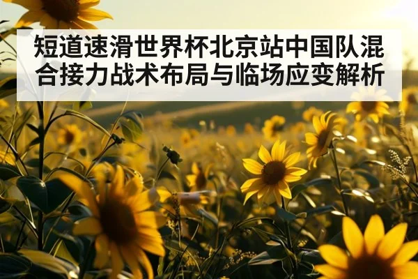 短道速滑世界杯北京站中国队混合接力战术布局与临场应变解析