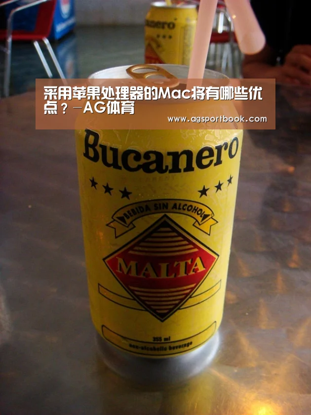 采用苹果处理器的Mac将有哪些优点？-AG体育