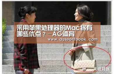 AG滚球